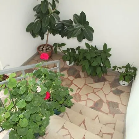 Ravlic Maison d'hôtes 3*