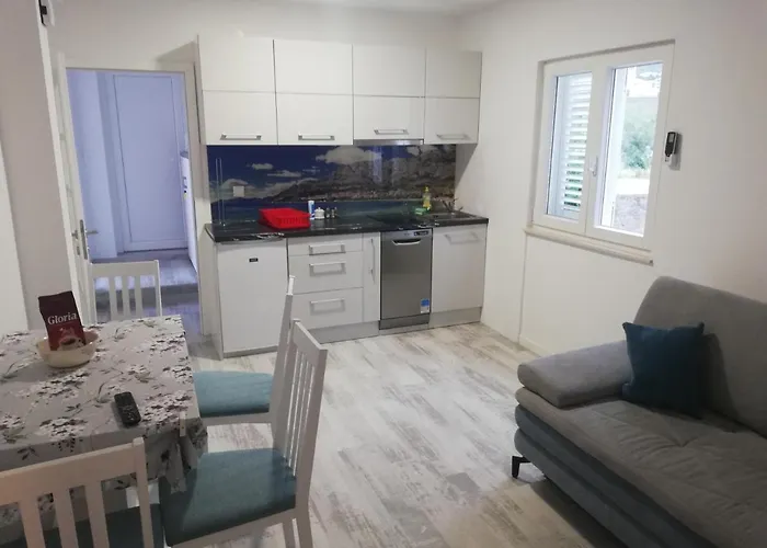 Guest house Ravlic 3*