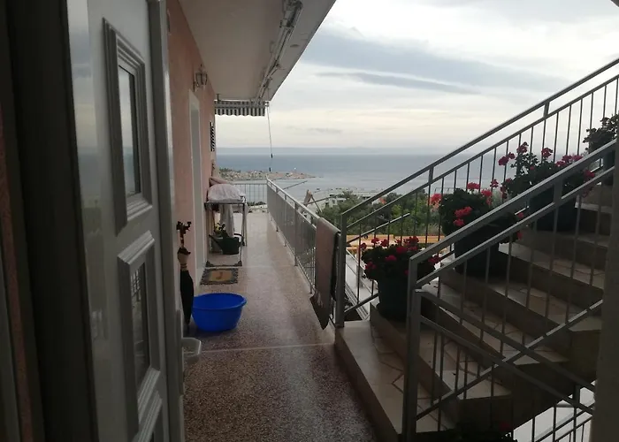 Ravlic Guest house 3*