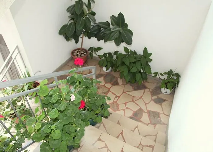 Ravlic Guest house 3*